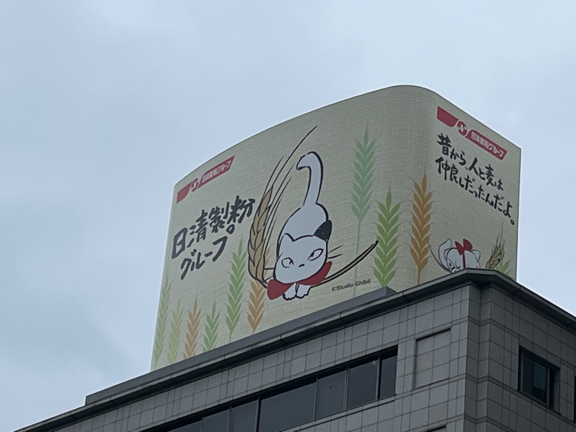 日清製粉グループ】東京・神田の屋上広告看板をリニューアル、3月13日 