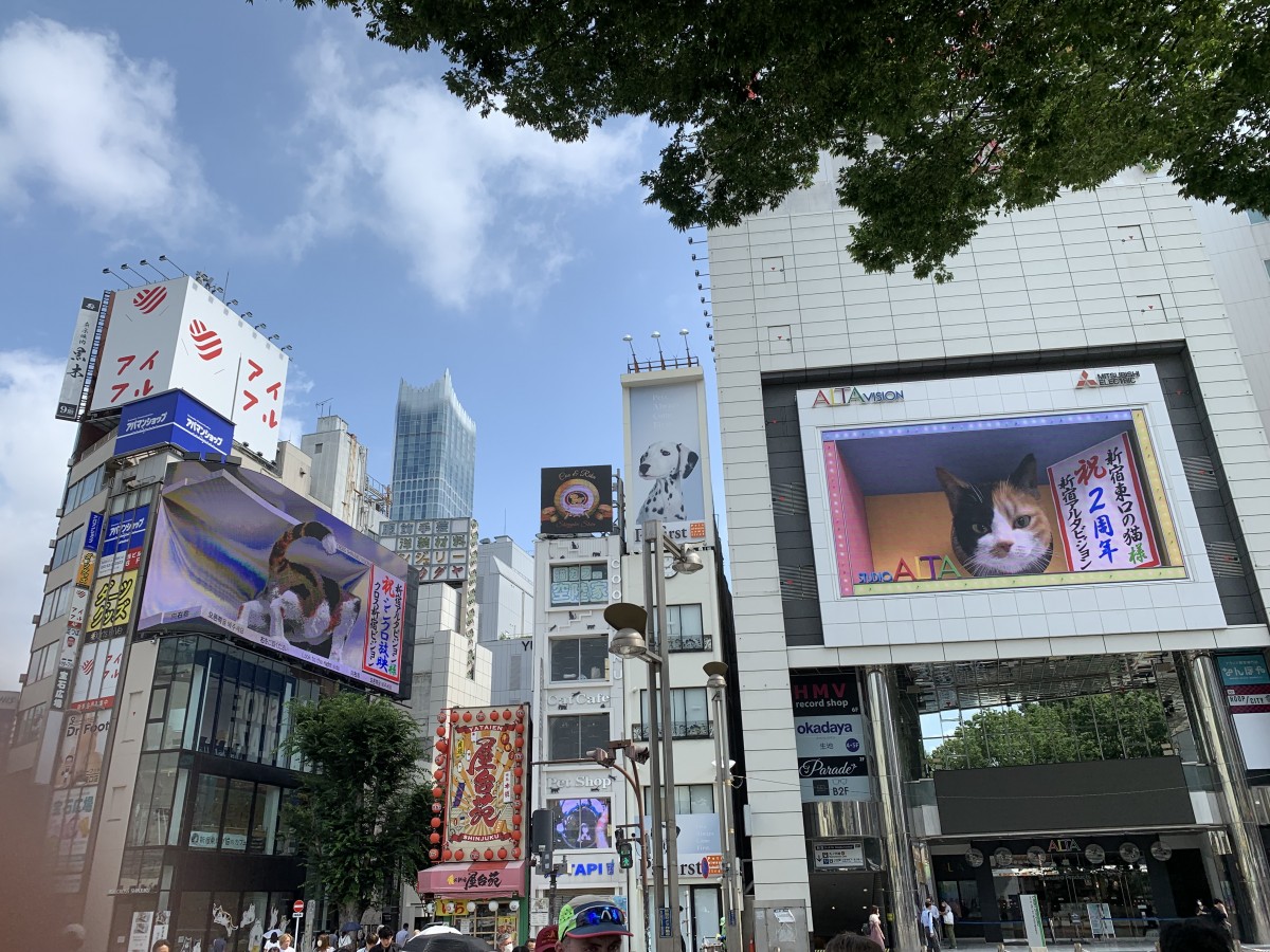 クロス新宿ビジョン