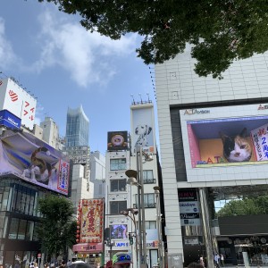 クロス新宿ビジョン