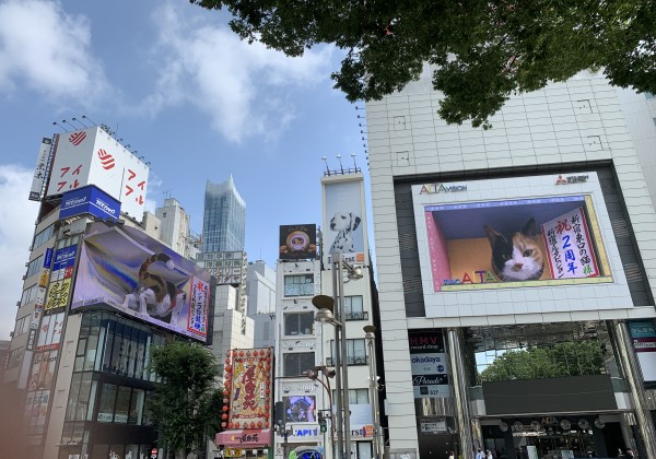 クロス新宿ビジョン