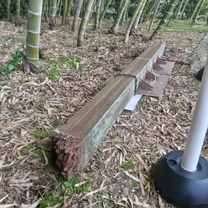 埼玉県立川の博物館 看板