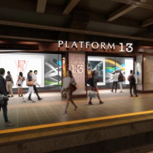 PLATFORM13