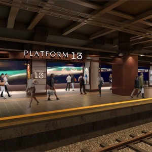 PLATFORM13