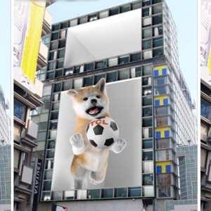 秋田犬