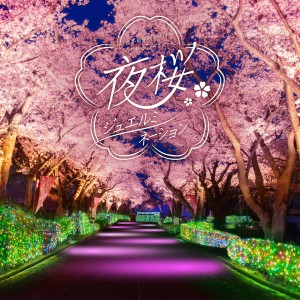 夜桜ジュエルミネーション
