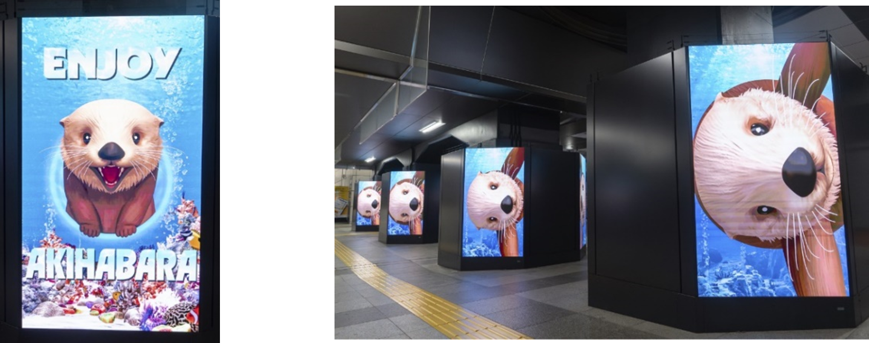 AKIBA WARP