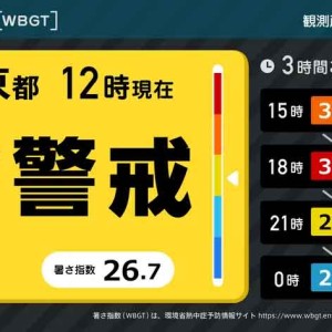 熱中症指数