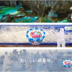 白くま