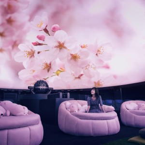 桜ウェルカムドーム