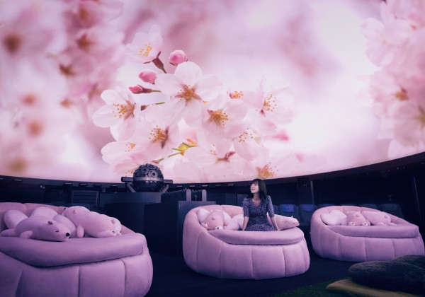 桜ウェルカムドーム