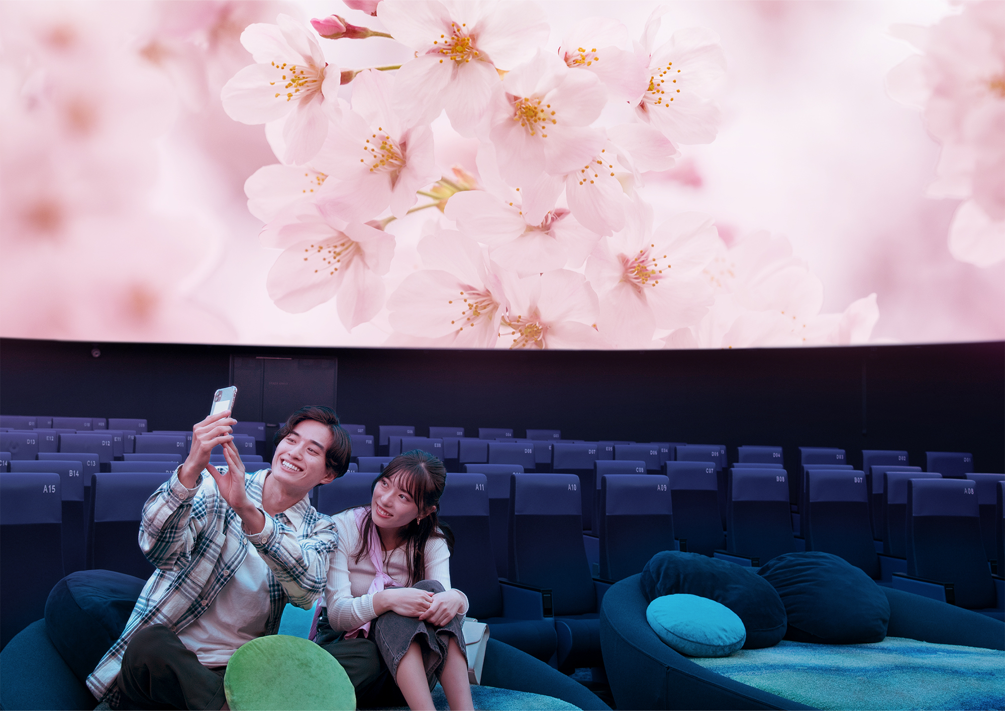 桜ウェルカムドーム