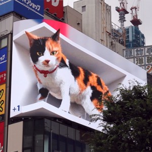 新宿東口3D巨大三毛猫