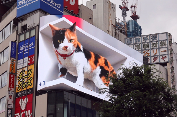 新宿東口3D巨大三毛猫